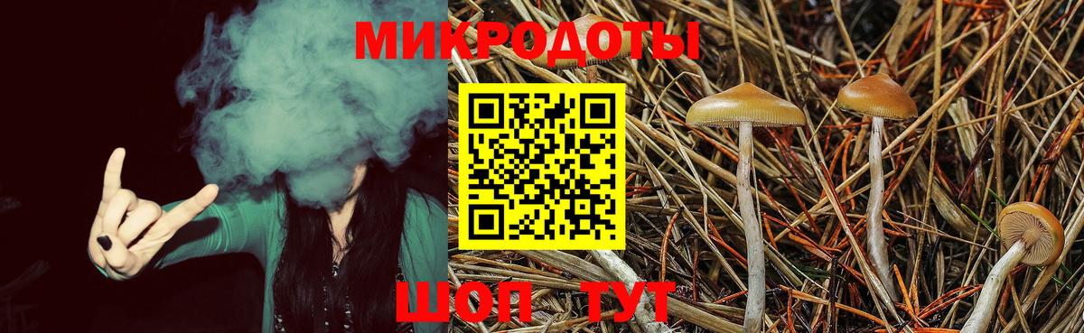 Псилоцибиновые грибы GOLDEN TEACHER  Псилоцибиновые грибы MAGIC MUSHROOMS  Сертолово  Вход с VPN 